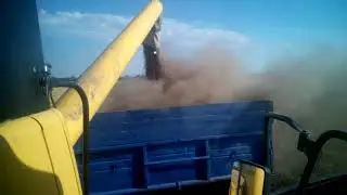 Уборка гороха.(Комбайн New Holland CSX 7080.)