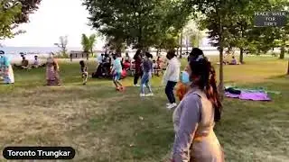 Toronto trunkar 2021
