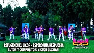 ALEGRIA - REFUGIO EN EL LICOR - ESPERO UNA RESPUESTA EN VIVO