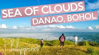 SEA OF CLOUDS, Danao Bohol Philippines (How to go there)