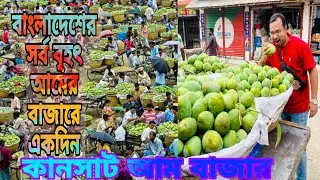 বাংলাদেশের সবচাইতে বড় আমের বাজার || কানসাট আম বাজার || চাঁপাইনবাবগঞ্জ || Kansat Mango Market ||