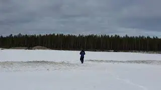 Bobcat - Landing in the snow