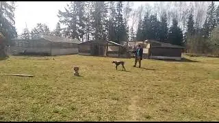 Юми Борн Хантер
