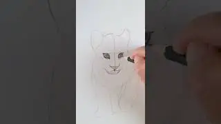 Как рисовать маленьких ЛЬВЯТ?🦁 