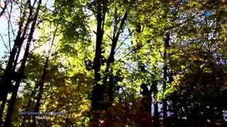 Chris SPHEERIS & Paul VOUDOURIS - Pura Vida