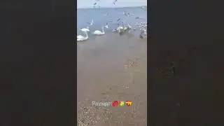 Анапа 14.04.2021