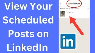 How to View Scheduled Posts on LinkedIn (View LinkedIn Scheduled Posts)