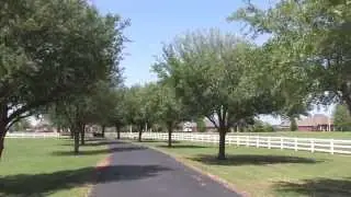 Select Tree and Landscaping