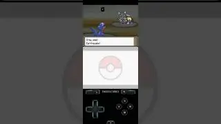 That's a Huge Damage! #pokemon #gabite #pokémonplatinum
