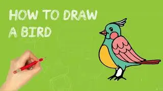 How to Draw Step a Bird /كيف ترسم طائر للمبتدئين