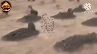 Dare NABI PE PARA RAHONGA || Naat Sharif || Madina Sharif Video |#viral #tranding #khawajagaribnawaz