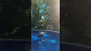 Rc car floating in the pool #relaxing #summer #rccars #shorts