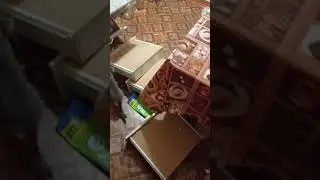 енон Масяня ушатала кухню