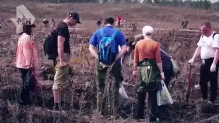Посадки сгоревшего леса в Тольятти 17.04.2016