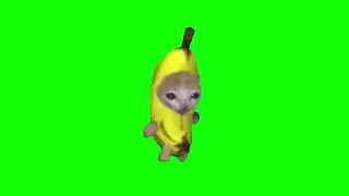 Banana Cat Running Green Screen Meme (10hrs) but will get tired every 30 mins