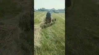 Сенокос