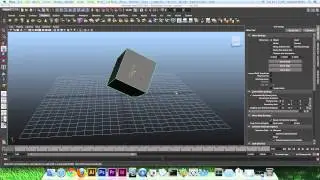 CIT VT3600 Maya Tutorials - 08 Tool Settings