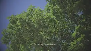 4K 슈나이더 True net Black 2 FILTER 비교샘플 3