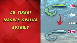 Masalo spalvos pasirinkimas žvejyboje: kaip keičiasi spalvų matomumas po vandeniu?