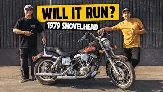 1979 Harley-Davidson Shovelhead | Can We Get It Running? - Vlog 250