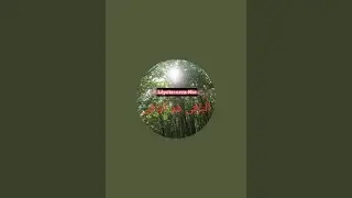 LÂYETECEZZA-NUR / Mucizeti Ahmediye risalesi kaldığımız yerden devam..