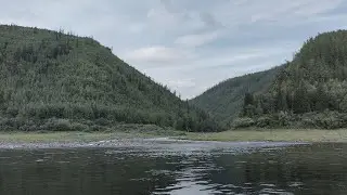 Четверо на реке...