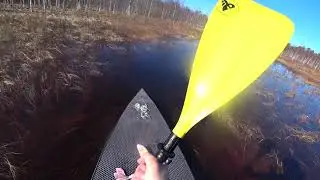 Cезон мягкой воды. На сап-бордах по карельской реке.