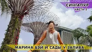 [VLOG]СИНГАПУР. МАРИНА БЭЙ И САДЫ У ЗАЛИВА. ПРОГУЛКА ПО ГОРОДУ ЧАСТЬ 2 (14.01.2020)