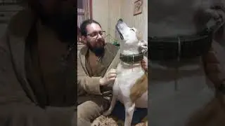 почесушки