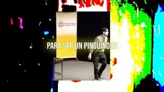 Depresión Post-Mortem - Para Ser Un Pingüino (Single)