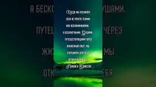 Душа, путешествующая через жизненный опыт 