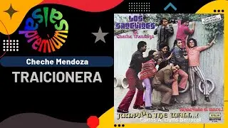 🔥TRAICIONERA por CHECHE MENDOZA - Salsa Premium