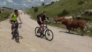 Blidinje - Vran planina 07.06.2020