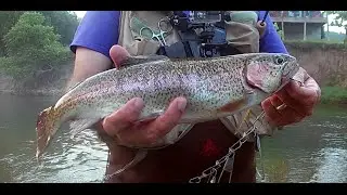 Trout Fishing with Pautzke Salmon Eggs With MFC's Andrew Bebb