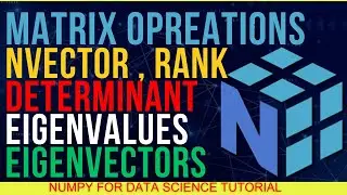 What Are Vector , Matrix ,Rank , Eigenvalues ,Eigenvectors , Determinant etc. in NumPy