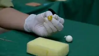 Pembuatan Model Atheroma