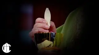 Catholic Mass Today: 6/14/23 | Wednesday of the Tenth Week in Ordinary Time