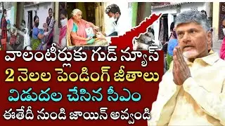 ఏపీ వాలంటీర్లుకు గుడ్ న్యూస్|2 నెలల జీతాలు విడుదల చేసిన సీఎం చంద్ర బాబు| ap volunteers today news|