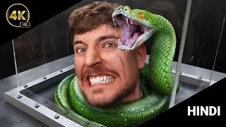 Face Your Biggest Fear To Win $800000 @MrBeast