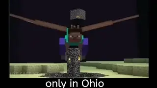 when you put your seed Ohio in Minecraft 💀