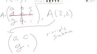 Vector101 Lecture 13
