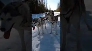 Короткая остановка
