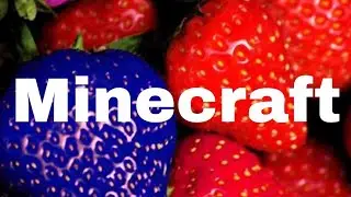 Minecraft победители 🥇