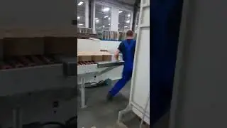 Моя первая работа в Польше / Завод TFP возле Познани / Dziecmierowo