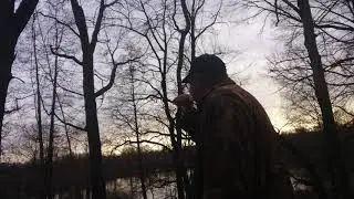 Обновки сравнение звуков