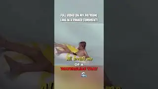 The DANGEROUS Waterslide Disney World ACTUALLY Built