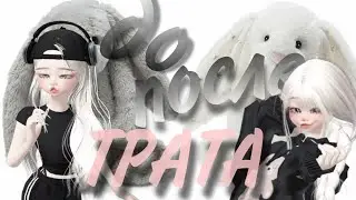 трата 61 зема!
