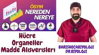 ÖSYM NEREDEN NEREYE-2 /12 YILIN TARAMASI VE SORU ÇÖZÜMÜ