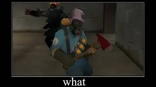 metro police