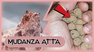 🚩COMO HACER HORMIGUERO PARA ATTA (sustrato para Atta) Tutorial completo// Sistema humedad y MUDANZA
